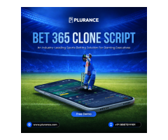 Build a High-ROI Betting Business Using Bet365 Clone Software